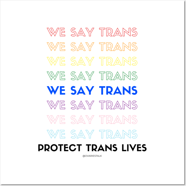 We say Trans! Wall Art by The Queer Family Podcast
